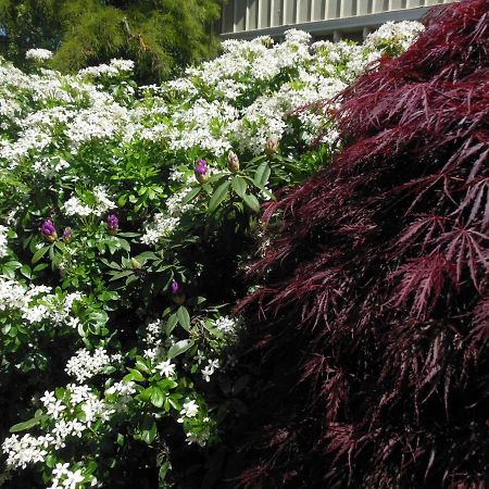 Garden Bed&Breakfast Christchurch Exterior foto