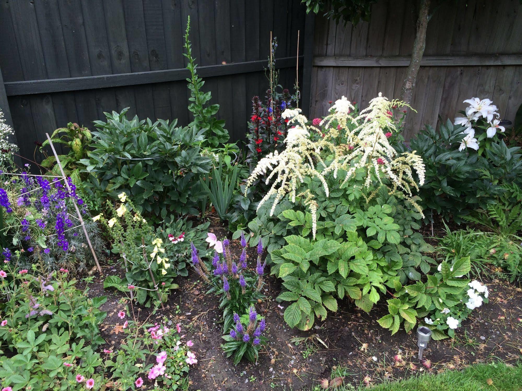 Garden Bed&Breakfast Christchurch Exterior foto